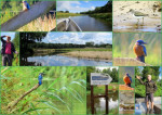 Collage ontvangen van Atte Dijkema